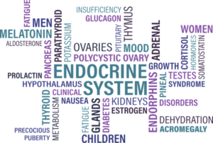 Established Medical Facts About Thyroid Symptoms In Children (1)
